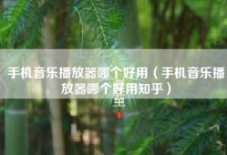 手机音乐播放器哪个好用（手机音乐播放器哪个好用知乎）