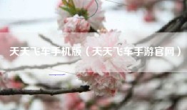 天天飞车手机版（天天飞车手游官网）