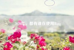 2020年，都有谁在使用Bing