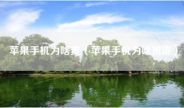 苹果手机为啥贵（苹果手机为啥贵呢）