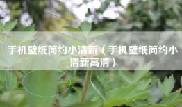 手机壁纸简约小清新（手机壁纸简约小清新高清）