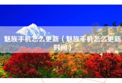 魅族手机怎么更新（魅族手机怎么更新时间）