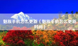 魅族手机怎么更新（魅族手机怎么更新时间）