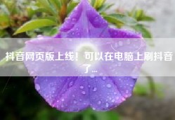 抖音网页版上线！可以在电脑上刷抖音了...
