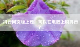 抖音网页版上线！可以在电脑上刷抖音了...
