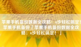 苹果手机备份数据全攻略：6步轻松搞定！苹果手机备份「苹果手机备份数据全攻略：6步轻松搞定！」