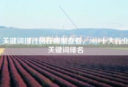 关键词排行榜在哪里查看，2019十大行业关键词排名