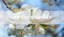 百度的运营模式分析论文
