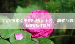 百度搜索引擎排行榜前十名，洞察互联网的热门趋势