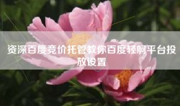 资深百度竞价托管教你百度轻舸平台投放设置