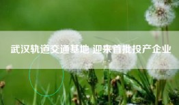 武汉轨道交通基地 迎来首批投产企业