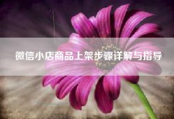 微信小店商品上架步骤详解与指导