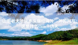 山东老大爷玩木头爆红海外 外国网友：这是什么Chinese功夫