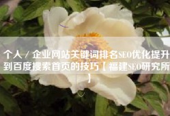 个人／企业网站关键词排名SEO优化提升到百度搜索首页的技巧【福建SEO研究所】