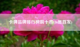 卡牌品牌排行榜前十名(36氪首发)