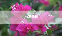 j20发动机