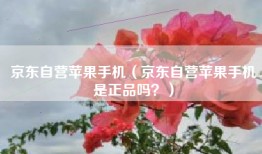 京东自营苹果手机（京东自营苹果手机是正品吗？）