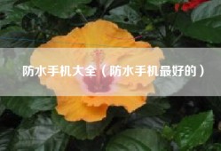防水手机大全（防水手机最好的）