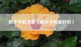 防水手机大全（防水手机最好的）