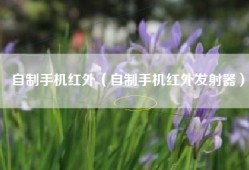自制手机红外（自制手机红外发射器）