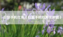自制手机红外（自制手机红外发射器）
