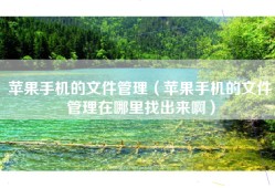 苹果手机的文件管理（苹果手机的文件管理在哪里找出来啊）