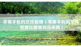 苹果手机的文件管理（苹果手机的文件管理在哪里找出来啊）