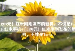 1999元！红米刚刚发布的新机，不愧是Turbo红米手机4「1999元！红米刚刚发布的新机，不愧是Turbo」