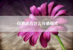 白酒适合什么分销模式
