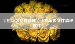 手机垃圾文件清理（手机垃圾文件清理软件）