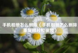 手机相册怎么删除（手机相册怎么删除重复图片和视频）