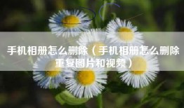 手机相册怎么删除（手机相册怎么删除重复图片和视频）