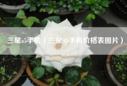 三星a5手机（三星A5手机价格表图片）