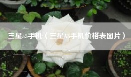 三星a5手机（三星A5手机价格表图片）