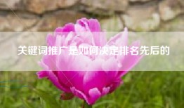 关键词推广是如何决定排名先后的