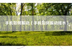 手机如何振动（手机如何振动排水）