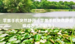苹果手机突然静音（苹果手机突然静音模式怎么调回来）