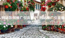 网站如何推广引流客户_网站推广引流最快方法