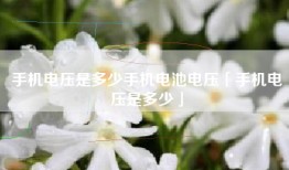 手机电压是多少手机电池电压「手机电压是多少」