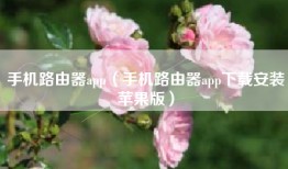 手机路由器app（手机路由器app下载安装苹果版）