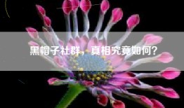 黑帽子社群，真相究竟如何？