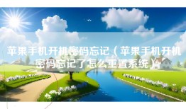 苹果手机开机密码忘记（苹果手机开机密码忘记了怎么重置系统）