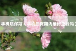 手机质保期（手机质保期内维修免费吗）