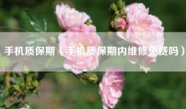 手机质保期（手机质保期内维修免费吗）