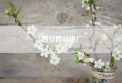 西安网站推广