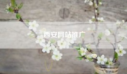 西安网站推广