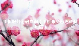 手机服务密码查询（手机服务密码查询短信）