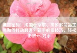 流量密码！淘宝、京东、拼多多商品主图如何打动顾客？新手必备技巧，轻松击败99%对手