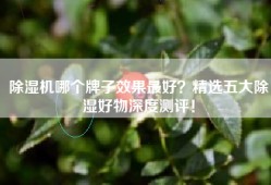 除湿机哪个牌子效果最好？精选五大除湿好物深度测评！