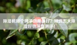 除湿机哪个牌子效果最好？精选五大除湿好物深度测评！